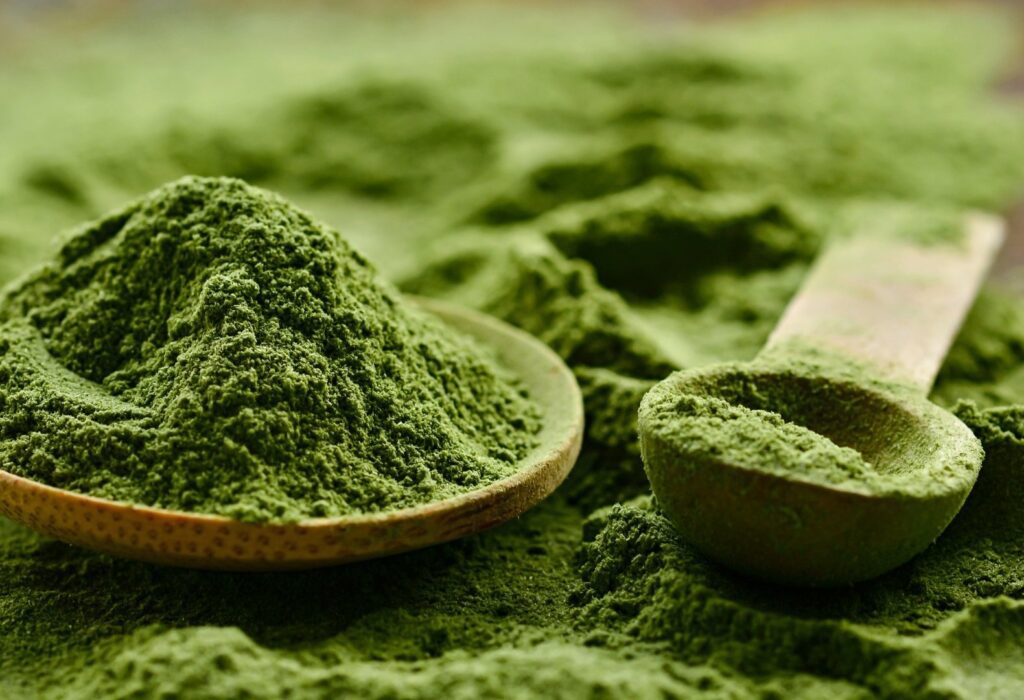 How to Choose the Right Green Powder Manufacturer for Your Supplement Brand