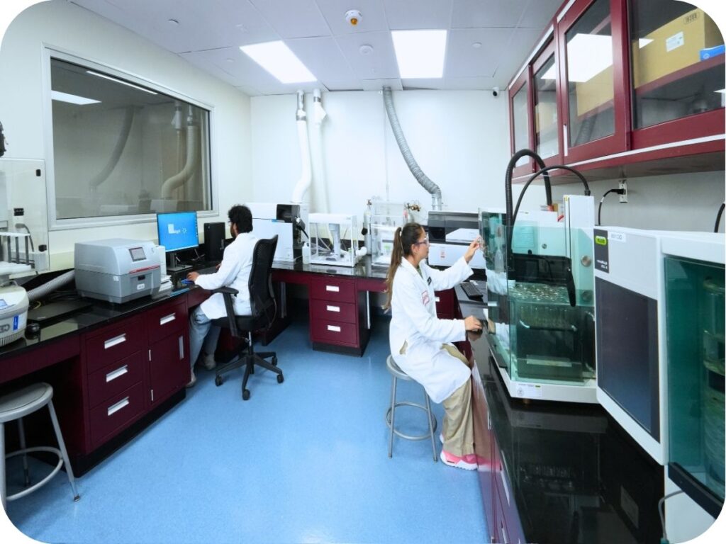 People working in the lab
