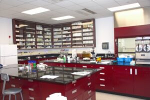The Role of In-House R&D in Supplement Product Development